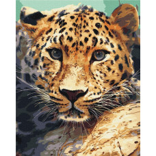 BS51736 Портрет леопарда. Brushme. Картина за номерами