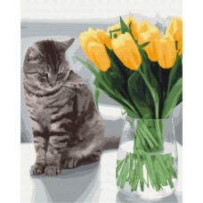 BS52638 Котик з тюльпанами. Brushme. Картина за номерами