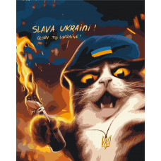 BS53120 Котик повстанець ©Маріанна Пащук. Brushme. Картина за номерами