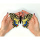 BUT-02 Метелик Papilio machaon 14х11,5 см. ArtInspirate. Набір для вишивки хрестиком на пластиковій канві