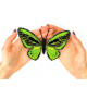 BUT-08 Метелик Ornithoptera Priamus 14х12 см. ArtInspirate. Набір для вишивки хрестиком на пластиковій канві