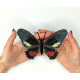 BUT-17 Метелик Mimoides ariarathes 14х11,5 см. ArtInspirate. Набір для вишивки хрестиком на пластиковій канві