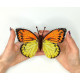 BUT-18 Метелик Hebomoia leucippe 14х11,5 см. ArtInspirate. Набір для вишивки хрестиком на пластиковій канві