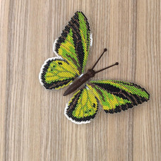 BUT-20 Метелик Ornithoptera goliath 14х10,5 см. ArtInspirate. Набір для вишивки хрестиком на пластиковій канві