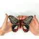BUT-22 Метелик Papilio rumanzovia 14х13 см. ArtInspirate. Набір для вишивки хрестиком на пластиковій канві