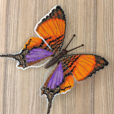 BUT-27 Метелик Marpesia Marcella 14х14,5 см. ArtInspirate. Набір для вишивки хрестиком на пластиковій канві