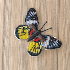 BUT-29 Метелик Delias Pasithoe 14х10 см. ArtInspirate. Набір для вишивки хрестиком на пластиковій канві