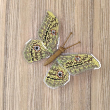 BUT-32 Метелик Aurivillius Triramis 14х10  см. ArtInspirate. Набір для вишивки хрестиком на пластиковій канві