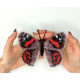 BUT-36 Метелик Vanessa gonerilla 14х11,5 см. ArtInspirate. Набір для вишивки хрестиком на пластиковій канві