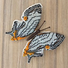 BUT-39 Метелик Cyrestis nivea 14х14 см. ArtInspirate. Набір для вишивки хрестиком на пластиковій канві