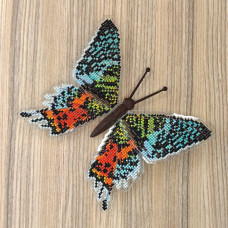 BUT-43 Метелик Chrysiridia rhipheus 14х12,5 см. ArtInspirate. Набір для вишивки хрестиком на пластиковій канві