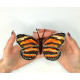 BUT-50 Метелик Dryadula phaetusa 14х10 см. ArtInspirate. Набір для вишивки хрестиком на пластиковій канві