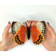 BUT-52 Метелик Stichophthalma louisa 13,5х12,5 см. ArtInspirate. Набір для вишивки хрестиком на пластиковій канві