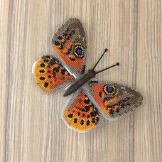 BUT-54 Метелик Eurybia cyclopia 14х10 см. ArtInspirate. Набір для вишивки хрестиком на пластиковій канві