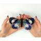 BUT-56 Метелик Hypocrita confluens 14х8,5 см. ArtInspirate. Набір для вишивки хрестиком на пластиковій канві
