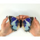 BUT-62 Метелик Charaxes Smaragdalis 14х13 см. ArtInspirate. Набір для вишивки хрестиком на пластиковій канві