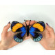 BUT-69 Метелик Callicora sapphire 14х11  см. ArtInspirate. Набір для вишивки хрестиком на пластиковій канві