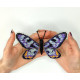 BUT-70 Метелик Dysphania numana 14х10 см. ArtInspirate. Набір для вишивки хрестиком на пластиковій канві