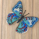 BUT-72 Метелик Euthalia lubentina 14х14 см. ArtInspirate. Набір для вишивки хрестиком на пластиковій канві