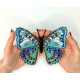 BUT-72 Метелик Euthalia lubentina 14х14 см. ArtInspirate. Набір для вишивки хрестиком на пластиковій канві