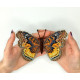 BUT-73 Метелик Euryphura chalcis 14х11,5 см. ArtInspirate. Набір для вишивки хрестиком на пластиковій канві