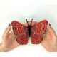 BUT-77 Метелик Zemeros flegyas 14х13 см. ArtInspirate. Набір для вишивки хрестиком на пластиковій канві