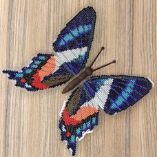 BUT-78 Метелик Ancyluris formosissima 14х14,5 см. ArtInspirate. Набір для вишивки хрестиком на пластиковій канві