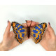 BUT-80 Метелик Apatura metis 14х11 см. ArtInspirate. Набір для вишивки хрестиком на пластиковій канві
