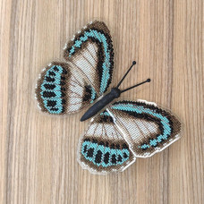 BUT-83 Метелик Danis danis 14х11,5 см. ArtInspirate. Набір для вишивки хрестиком на пластиковій канві