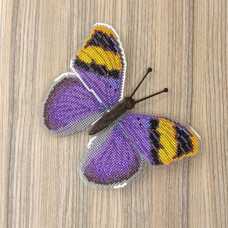 BUT-87 Метелик Euphaedra neophron 14х11 см. ArtInspirate. Набір для вишивки хрестиком на пластиковій канві