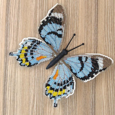 BUT-88 Метелик Papilio laglaizei 14х13,5 см. ArtInspirate. Набір для вишивки хрестиком на пластиковій канві