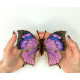 BUT-89 Метелик Fountainea nobilis 14х13 см. ArtInspirate. Набір для вишивки хрестиком на пластиковій канві