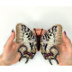 BUT-90 Метелик Polyura dehanii sulthan 14х15,5 см. ArtInspirate. Набір для вишивки хрестиком на пластиковій канві
