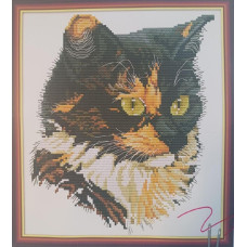 DA241JS Joy Sunday Набір для вишивки друкованим хрестиком - Кіт 3 30x27 см, Aida14