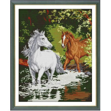 DA668JS Joy Sunday Набір для вишивки друкованим хрестиком - Прогулянка 42x34 см, Aida14