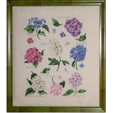 FL14-C Lucas Creations Схема для вишивки рахунковим хрестиком - Сорти гортензій Varietes d'hortensias 27x34 см, папір