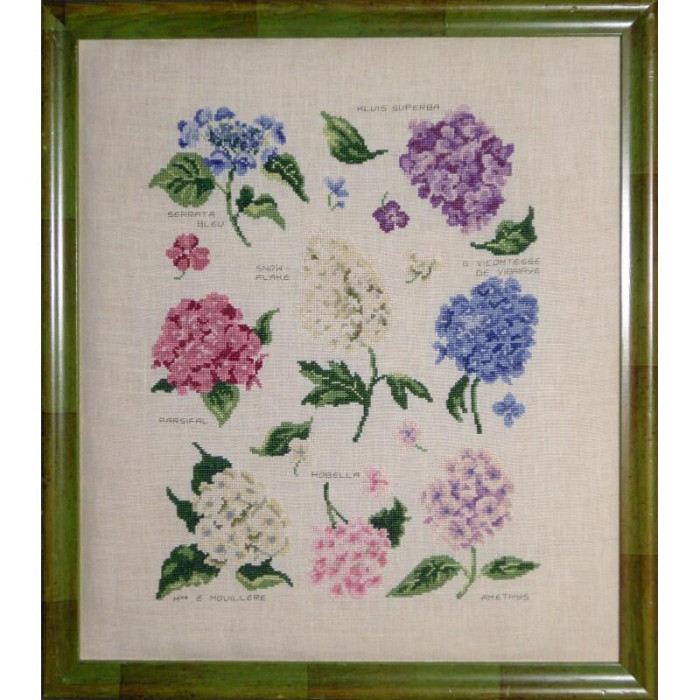 FL14-C Lucas Creations Схема для вишивки рахунковим хрестиком - Сорти гортензій Varietes d'hortensias 27x34 см, папір