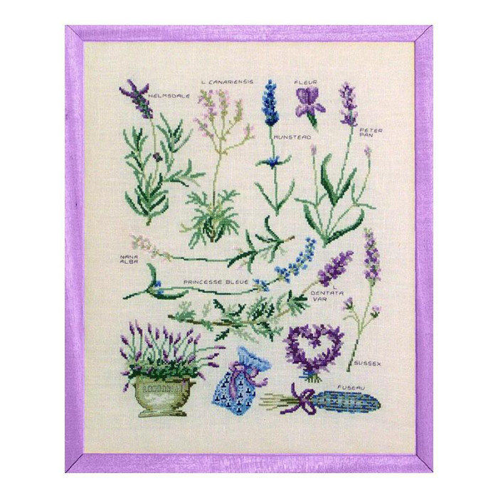 FL16-C Lucas Creations Схема для вишивки рахунковим хрестиком - Сорти лаванди Varietes de Lavandes 26x34 см, папір