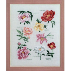 FL17-C Lucas Creations Схема для вишивки рахунковим хрестиком - Сорти півоній Varietes Pivoines 27x34 см, папір