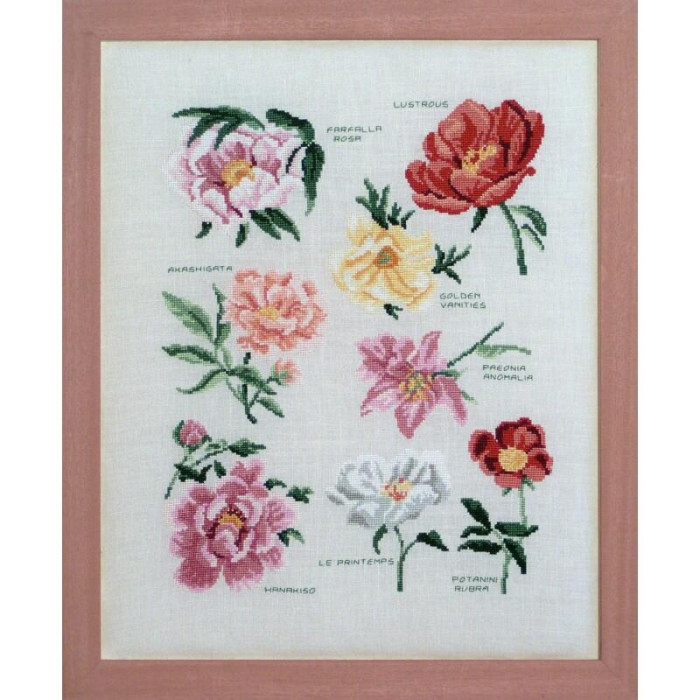 FL17-C Lucas Creations Схема для вишивки рахунковим хрестиком - Сорти півоній Varietes Pivoines 27x34 см, папір