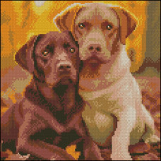 FZ3030-04 Strateg Алмазна мозаїка - Лабрадори, 30x30 см (квадратні, на підрамнику, Стратег)