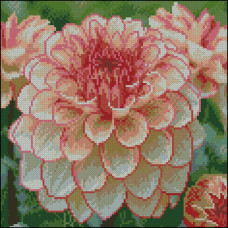 FZ3030-08 Strateg Алмазна мозаїка - Яскрава жоржина, 30x30 см (квадратні, на підрамнику, Стратег)