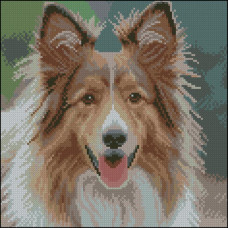 FZ3030-41 Strateg Алмазна мозаїка - Пухнастий пес, 30x30 см (квадратні, на підрамнику, Стратег)