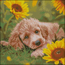 FZ3030-43 Strateg Алмазна мозаїка - Щеня в соняшниках, 30x30 см (квадратні, на підрамнику, Стратег)