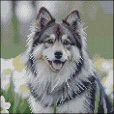 FZ3030-44 Strateg Алмазна мозаїка - Хаскі в квітах, 30x30 см (квадратні, на підрамнику, Стратег)