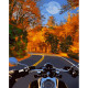 GS1041 На мотоциклі восени, 40x50 см. Strateg. Картина за номерами (Стратег)