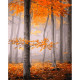 GS1356 Чарівна осінь, 40x50 см. Strateg. Картина за номерами (Стратег)