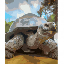 GS582 Доросла черепаха, 40х50 см. Strateg. Картина за номерами (Стратег)