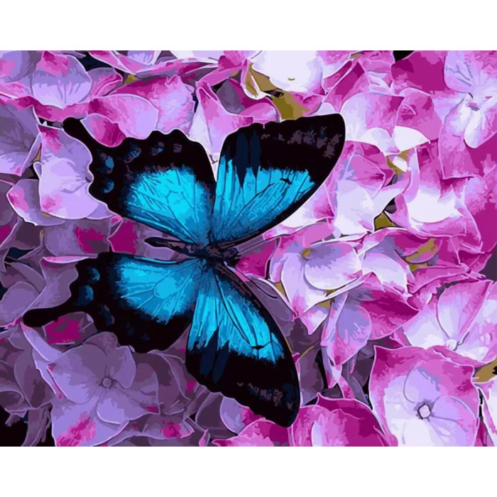 GX21627 Метелик на квітах. Brushme. Картина за номерами