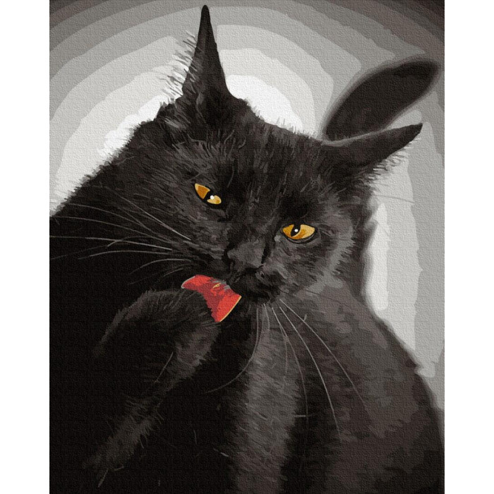 GX21748 Чорна кішечка. Brushme. Картина за номерами